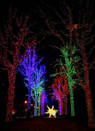 Tree Lightings And Holiday Celebrations